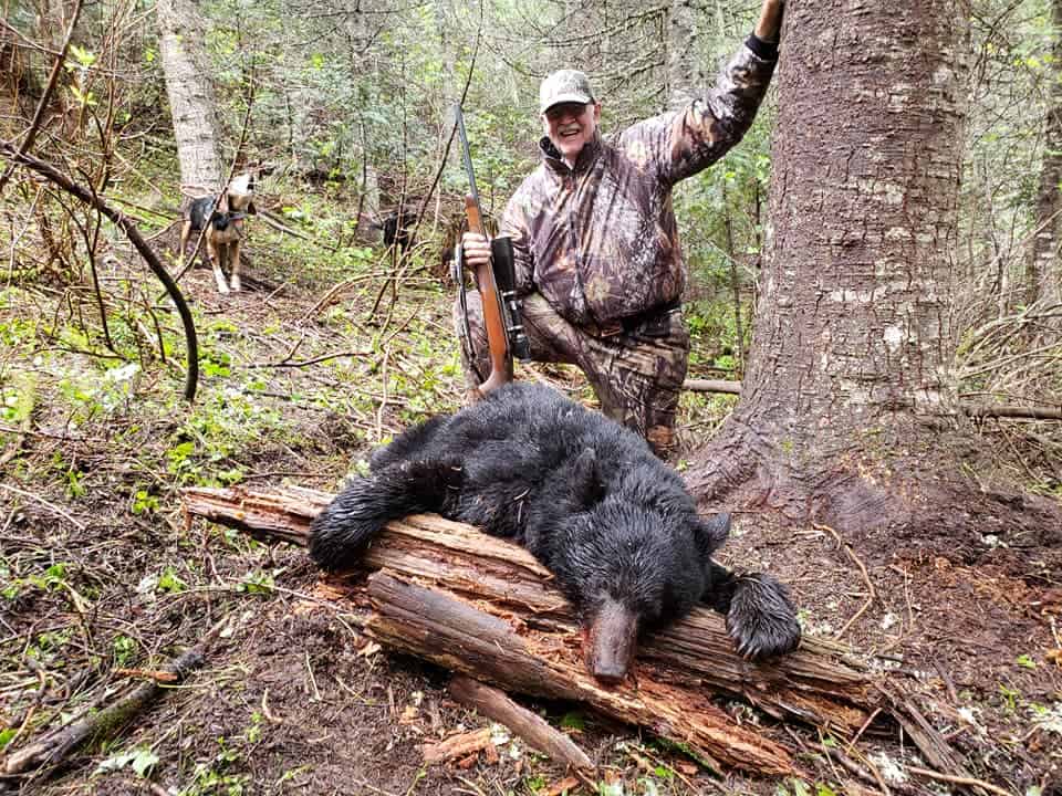 Guided Bear Hunts - Shattuck Creek Outfitters