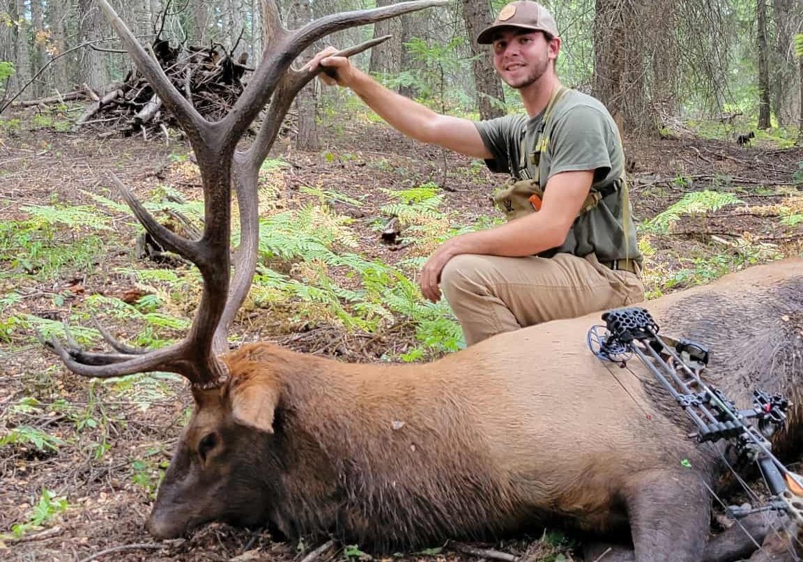 Man crouched over downed buck